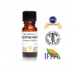 澳洲尤加利 Eucalyptus Radiata 10ml